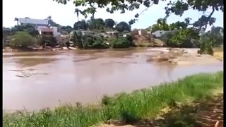 O tsunami de lama que destruiu Bento Rodrigues gera prejuízos ecológicos Jornal Minas