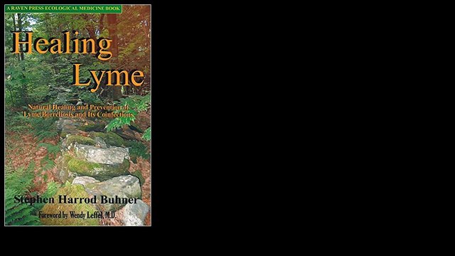 Healing Lyme: Natural Healing and Prevention of Lyme Borreliosis and Its Coinfections 2005 by Stephen Harrod Buhner