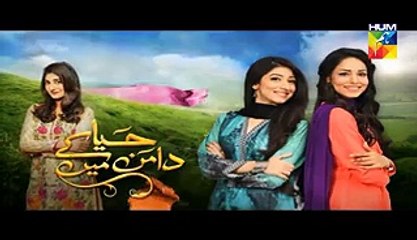 Haya Ke Daman Mein Episode 22 Promo Hum TV Drama 27 April 2016