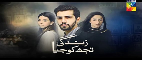 Zindagi Tujh Ko Jiya Episode 40 Promo HD Hum TV Drama 27 April 2016