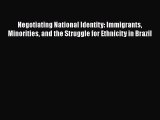Book Negotiating National Identity: Immigrants Minorities and the Struggle for Ethnicity in