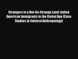Ebook Strangers in a Not-So-Strange Land: Indian American Immigrants in the Global Age (Case