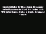 Ebook Indentured Labor Caribbean Sugar: Chinese and Indian Migrants to the British West Indies