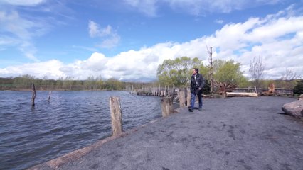 Portrait de Pierre Singer