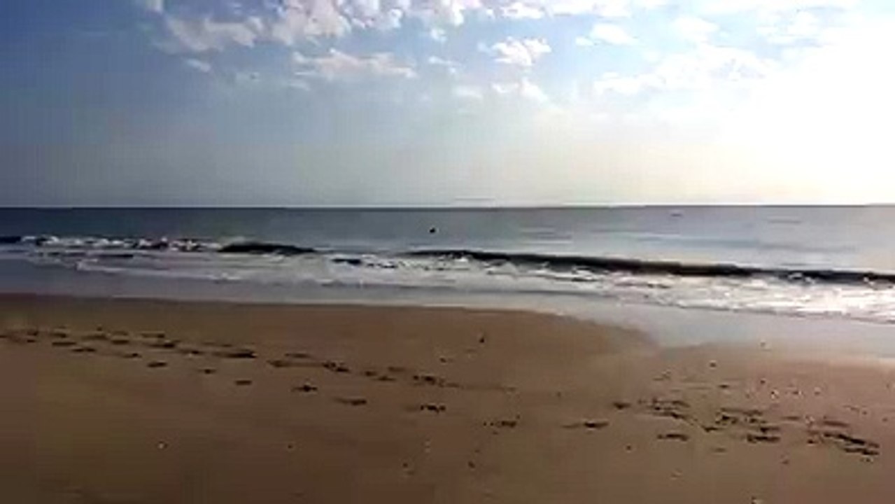This house thinks that he belongs to sea