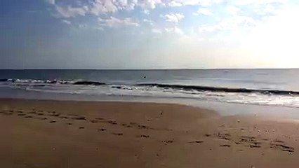 This house thinks that he belongs to sea