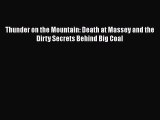 Book Thunder on the Mountain: Death at Massey and the Dirty Secrets Behind Big Coal Read Full