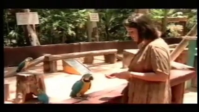 ניתוח מתיחת בטן - דר' אמיר אברהם