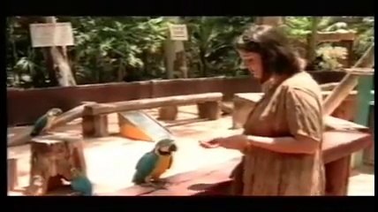 ניתוח מתיחת בטן - דר' אמיר אברהם
