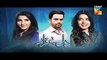 Dil E Beqarar Episode 4 Promo HUM TV Drama 27 April 2016 - Dailymotion