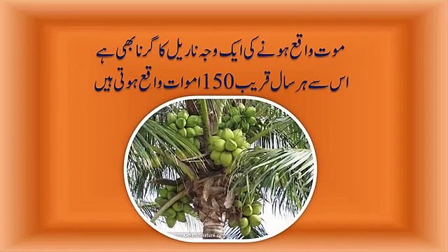 Maut Ki Haqeeqat _ Maut aisy bhi aa sakti hai _ Must watch - ira