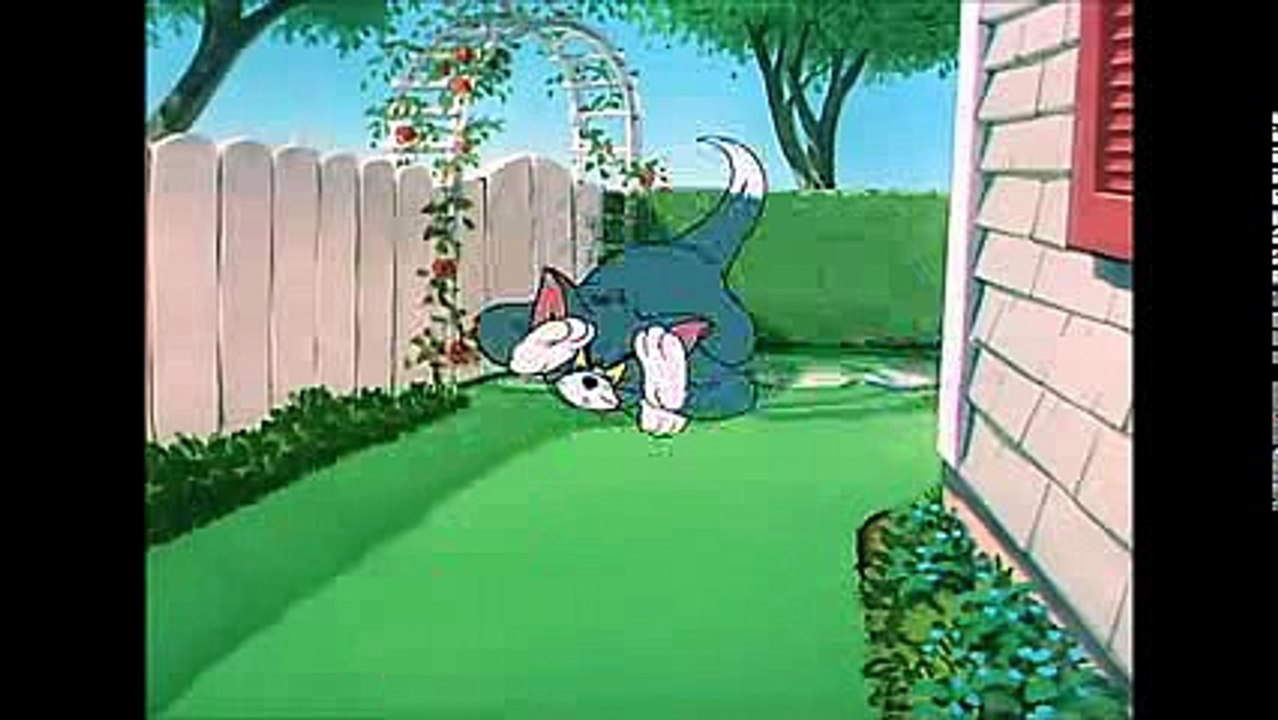 Tom and Jerry, 60 Episode - Slicked-up Pup (1951)