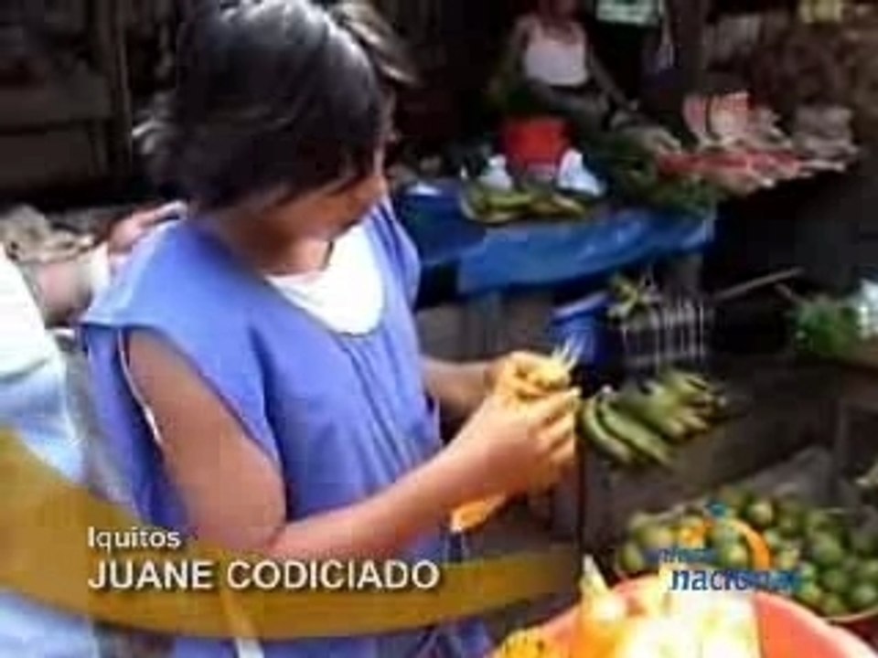 JUANE CODICIADO - IQUITOS
