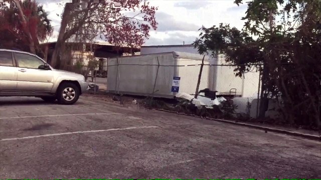 C'est une mauvaise idée de donner à manger à un raton laveur