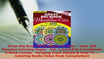 PDF  Great Big Book Of Mandalas To Color  Over 300 Mandala Coloring Pages  Vol 12345  6 PDF Book Free