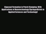 [Read Book] Gigaseal Formation in Patch Clamping: With Applications of Nanotechnology (SpringerBriefs