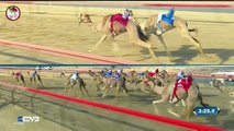 سباق التميز الثاني الخميس 2016/01/07 (مساءً) ميدان المرموم سن اللقايا مسافة 5 كم - الشوط 7
