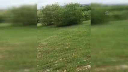 120 Kilogram Eyp İmha Edildi