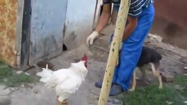 Chris Evans wants to bury his head in Elizabeth Olsen’s chest