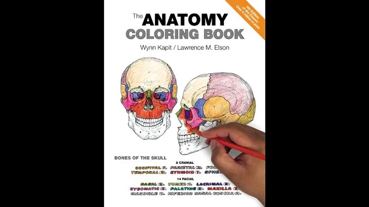 The Anatomy Coloring Book