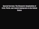[Read book] Special Sorrows: The Diasporic Imagination of Irish Polish and Jewish Immigrants