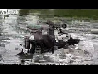 News Movies Barack Obama President  (34)