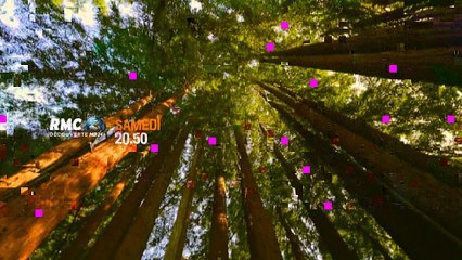 Des Cabanes et des Hommes : au pays des sequoias