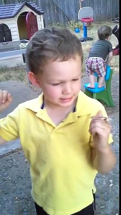 Praying Mantis jumps on kids face