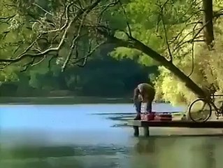 Thì ra đây là nguyên nhân làm cá chết Share: Clip Xôn Xao