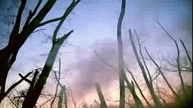 Flatbush Zombies 'SMOKE BREAK_FLY AWAY' Music Video