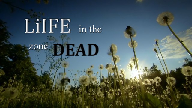 Чернобыль: Жизнь в мертвой зоне / Chernobyl - Life in the dead zone (2007) HD