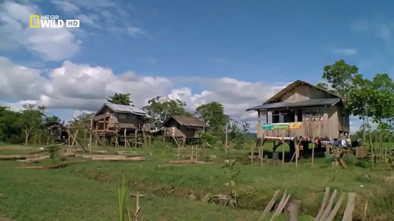 Monster Croc Hunt - Nature documentary 2016 87