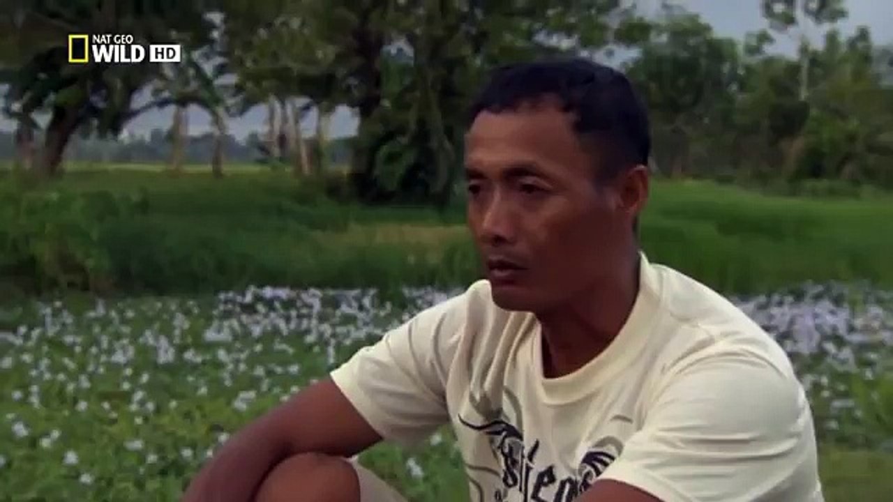 Monster Croc Hunt - Nature documentary 2016 92