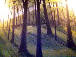 BLACK COFFEE / 島 健 Featuring 平原綾香 / Cover