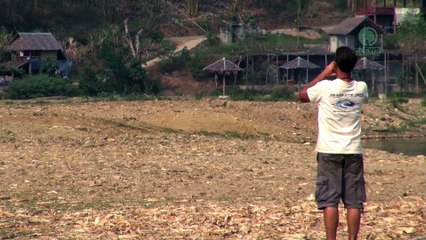 J adore  J adore !!!! Les  Animaux