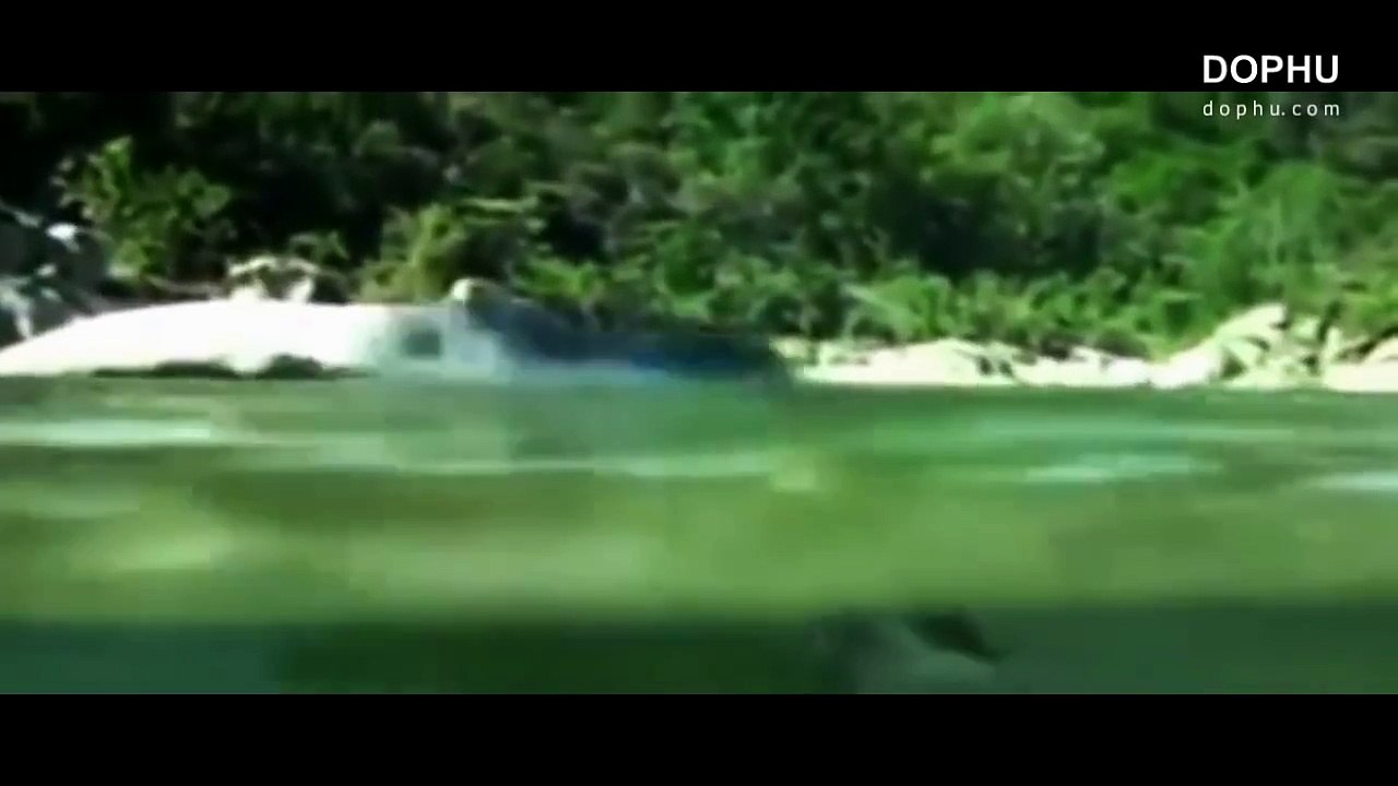 5 Dragon Sightings Caught on Tape