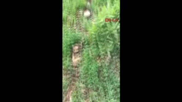 Diyarbakır'da 120 Amonyum Nitrat ile Güçlendirilmiş Eyp İmha Edildi