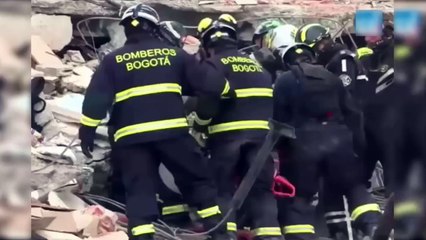 Ce chien a donné sa propre vie pour en sauver sept autres !