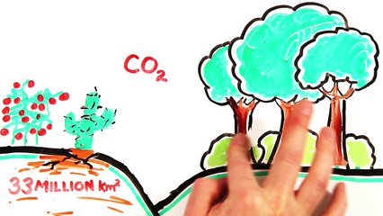 What If The World Went Vegetarian?