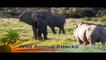 Biggest wild animal fights | Elephant vs Rhino Fight 2016 Elephant Vs Lions Attack,Giant Anaconda