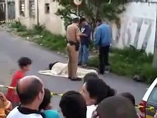 Cão chora pelo seu dono. Comovente