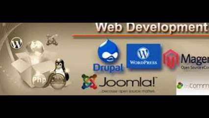 Web development Company Noida