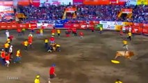 Bullfighter gored after failing to dodge 990lb animal in Costa Rica