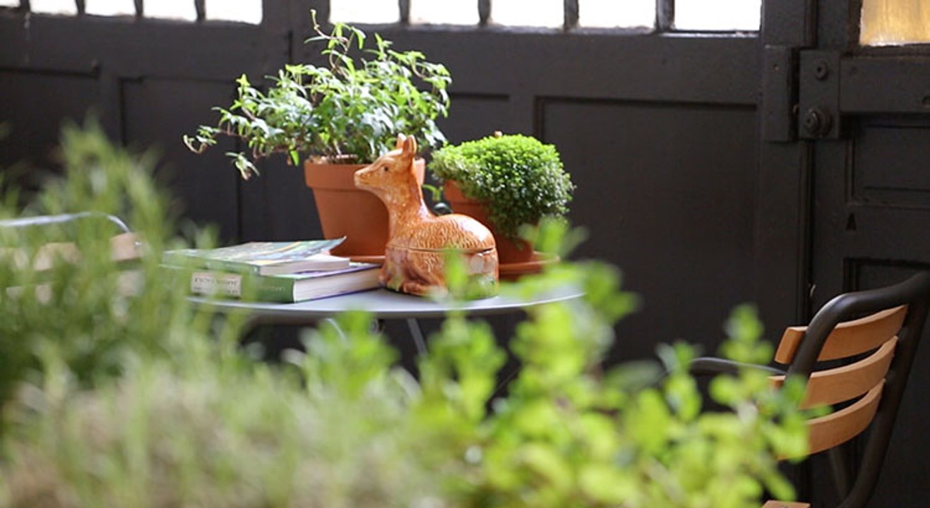 Jardin d'intérieur : l'oasis en vogue dans la maison