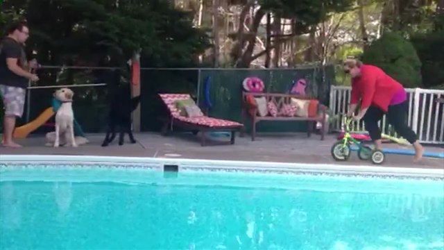 Une maman finit dans la piscine après avoir cassé le vélo de son fils
