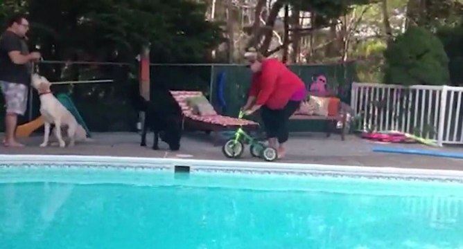 Une maman s'amuse avec le tricycle de son enfant