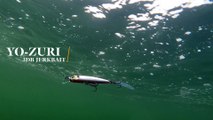 How Lures Swim: Yo-Zuri 3DB Jerkbait