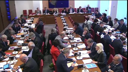 Intervention en Commission des Affaires Sociales - Audition de Mme Ségolène Neuville