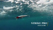 How Lures Swim: Strike Pro Flex Lure