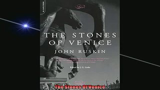 READ THE NEW BOOK   The Stones Of Venice  BOOK ONLINE